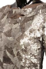 ������ P.A.R.O.S.H