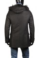 ������ Gazzarrini