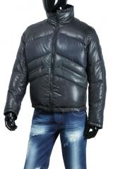 ������� Gazzarrini