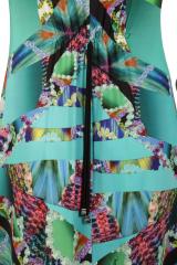 ������ Coccapani