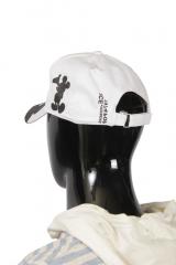 ��������� ICE Iceberg