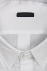 ������� Paolo Pecora Milano