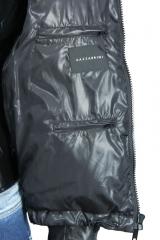 ������� Gazzarrini