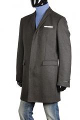 ������ Gazzarrini