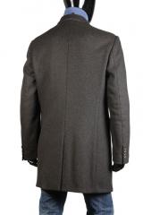 ������ Gazzarrini