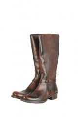 ������ EVEET