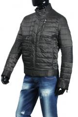 ������ Gazzarrini