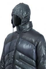 ������� Gazzarrini