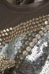 ������ P.A.R.O.S.H