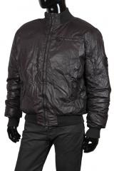 ������� Gazzarrini