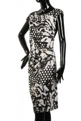 ������ Coccapani